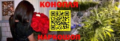 гашик Кунгур