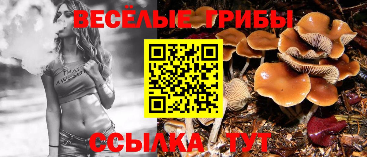 Псилоцибиновые грибы мицелий Елабуга